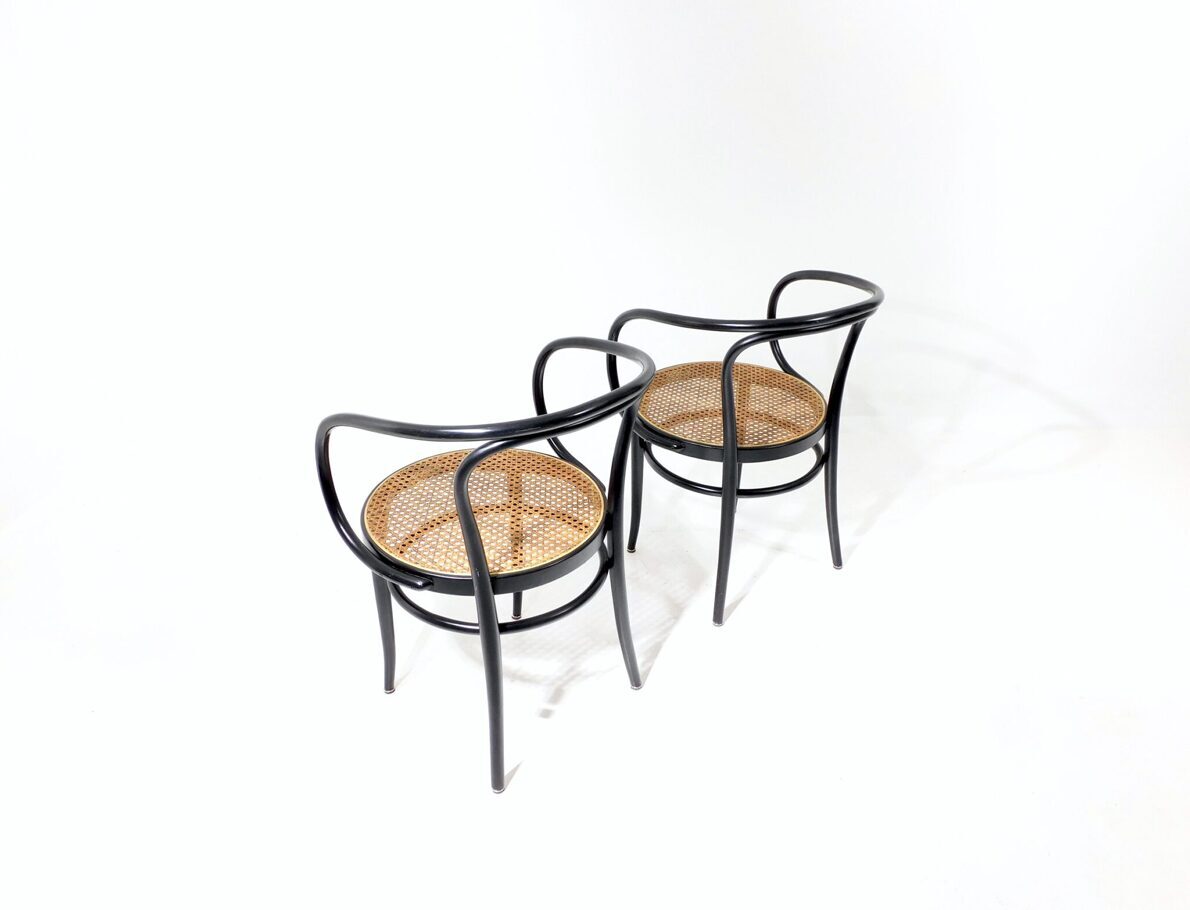 Artikelbild Zwei Stühle "Modell 209" - Michael Thonet